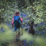 Hiking with Kids in Kitsap: 7 Trails That Won’t End in Meltdowns