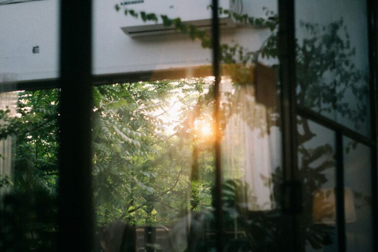 Morning light through cabin window