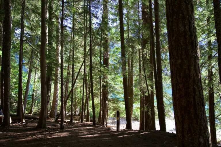 The Trail That Took Me By Surprise (In the Best Way)