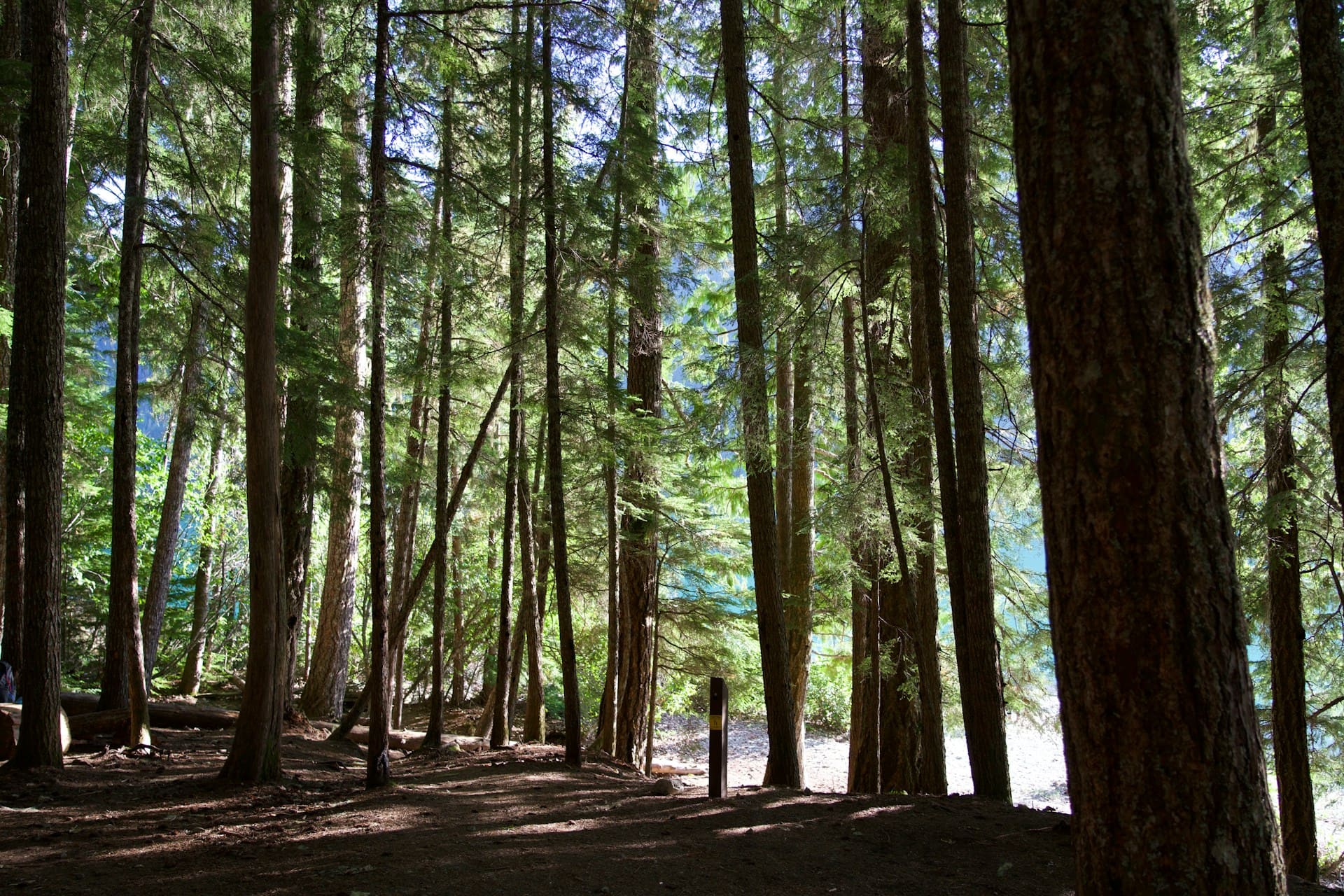 You are currently viewing The Trail That Took Me By Surprise (In the Best Way)