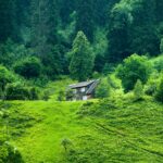 Best Winter Hikes in Kitsap County (When Everyone Else Stays Home)