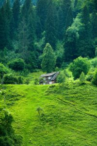 Read more about the article Best Winter Hikes in Kitsap County (When Everyone Else Stays Home)